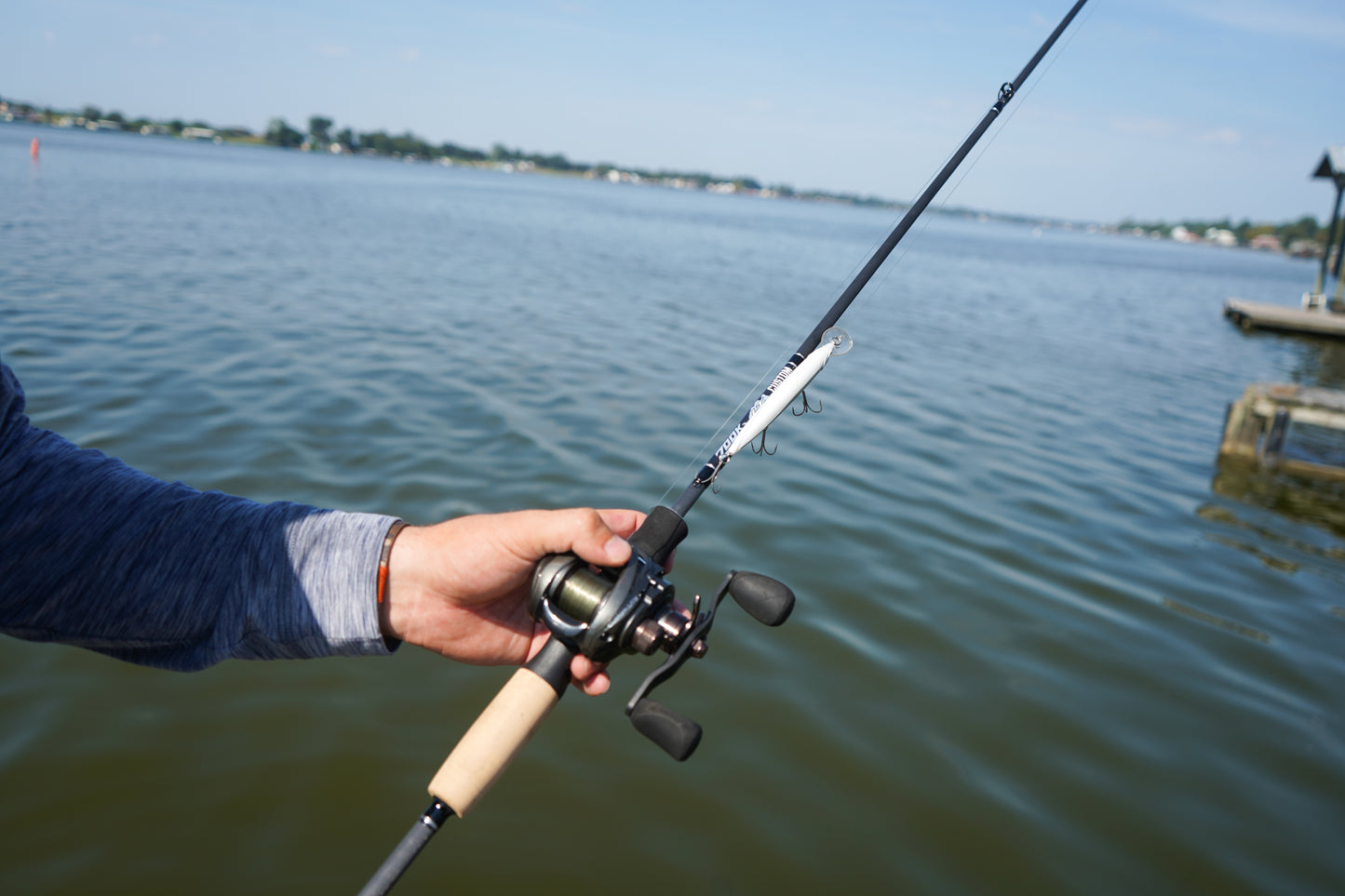 LT Custom Bass Rods