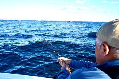 Custom Tuna Popping Rod