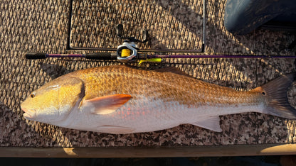 Lagniappe Series Rods