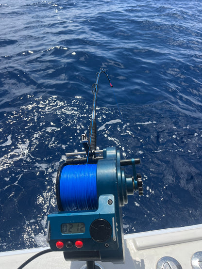 Custom Daytime Swordfish/Deep Drop