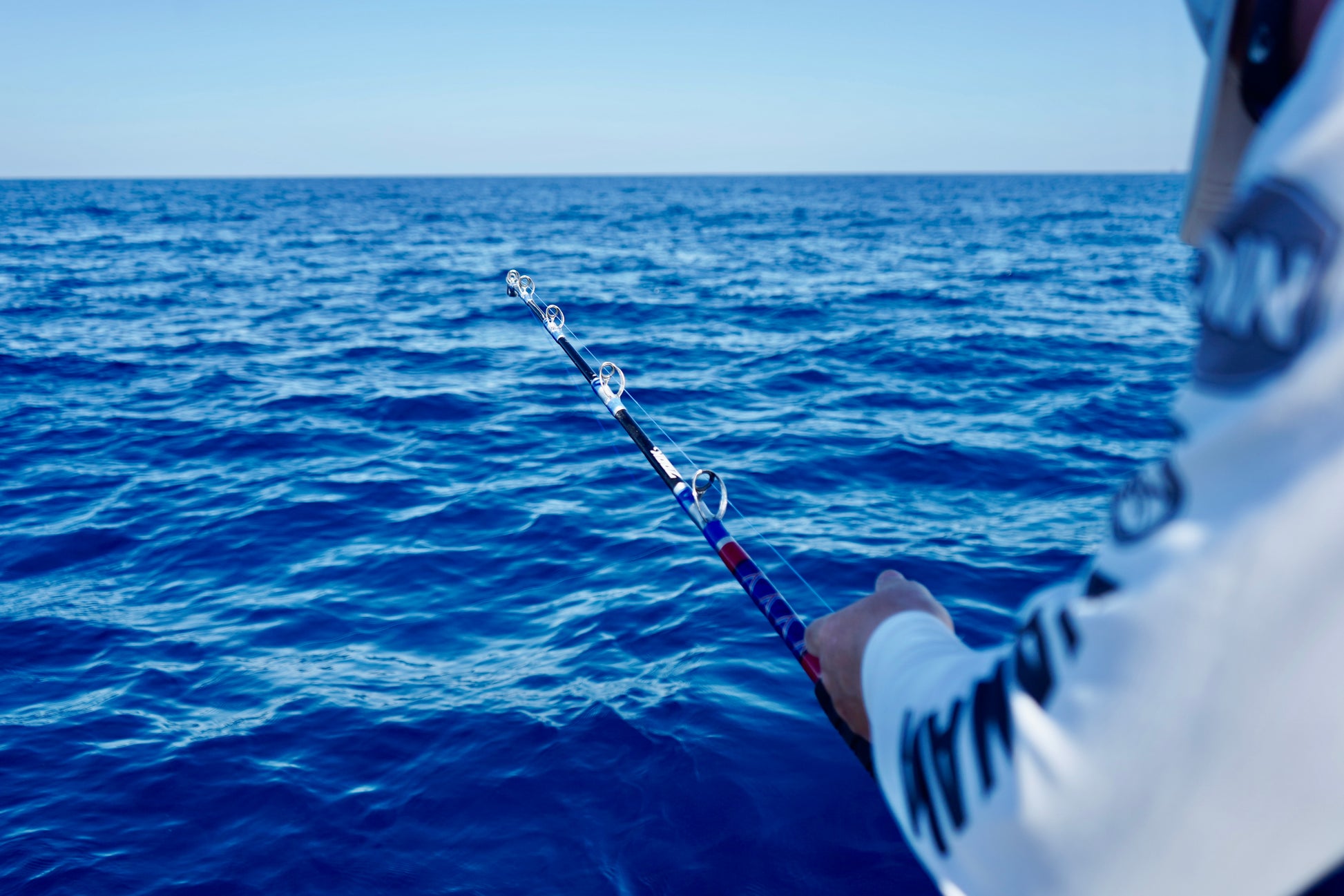 Custom Heavy Tuna- 200 Rod - Rod Only / Standard Blank Custom Heavy Tuna- 200 Rod - Rod Only / Standard Blank