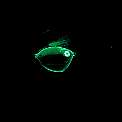 Hornbelly Imposter Jig (Glow-in-the-Dark!)